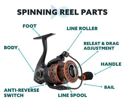Spinning reel fishing reel parts diagram. Things To Know About Spinning reel fishing reel parts diagram. 